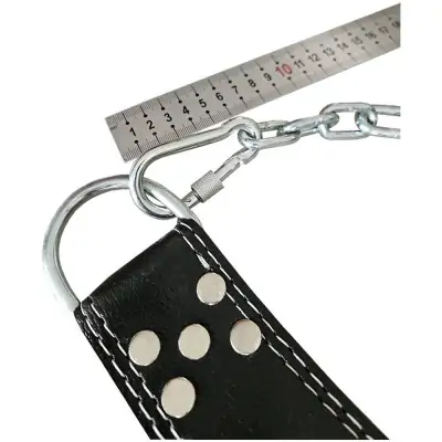 Dips Ağırlık Kemeri