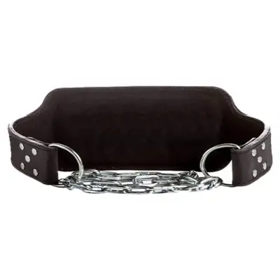 Dips Ağırlık Kemeri