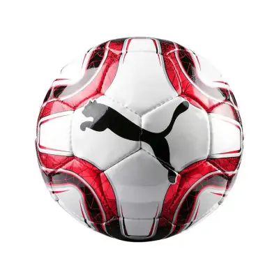 Puma Final 5 Maç Topu No 5