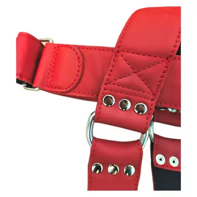Excalibur Deri Baş Boyun Ağırlık Kayışı Kırmızı