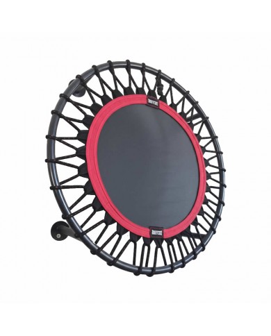 Excalibur Duvar Tipi Sağlık Topu Rebounder