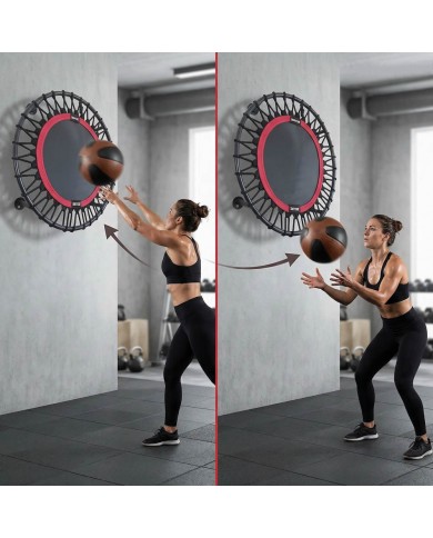 Excalibur Duvar Tipi Sağlık Topu Rebounder