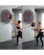 Excalibur Duvar Tipi Sağlık Topu Rebounder