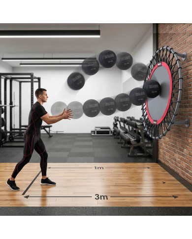 Excalibur Duvar Tipi Sağlık Topu Rebounder